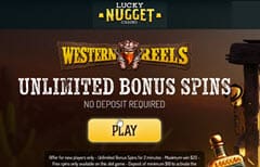 Lucky Nugget casino