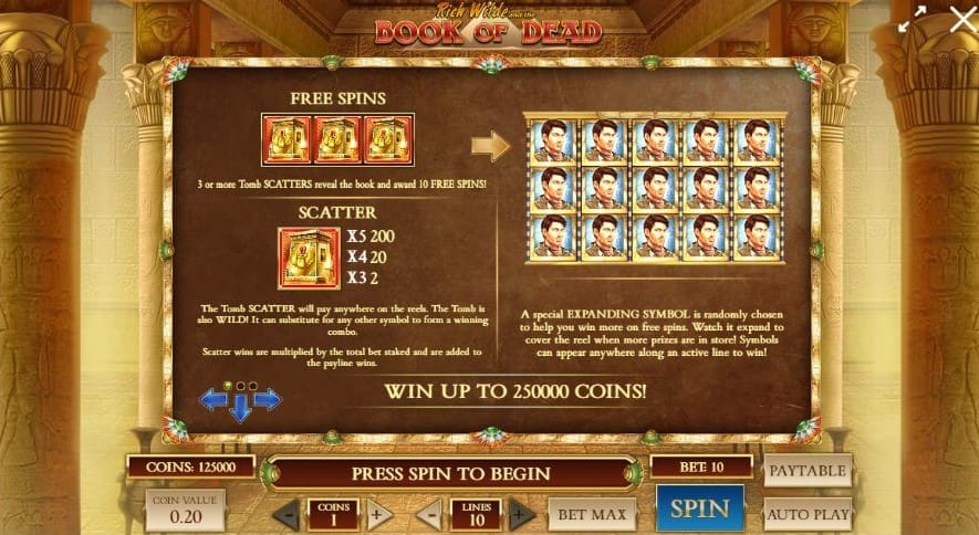 Book of Dead Gameplay