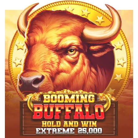 Booming Buffalo Hold and Win Extreme 25,000 2