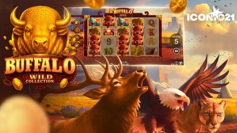 Buffalo Wild Collection