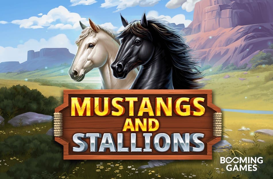 Mustangs and Stallions