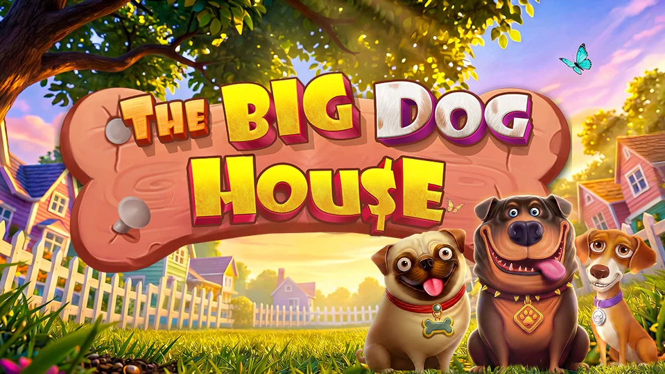 The big dog house