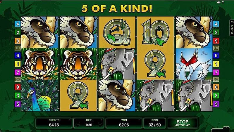 adventure palace slot